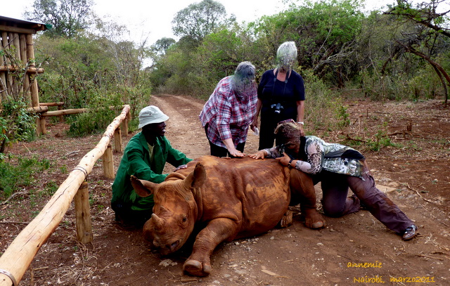 Kenya    Giornata del Rinoceronte P1010810