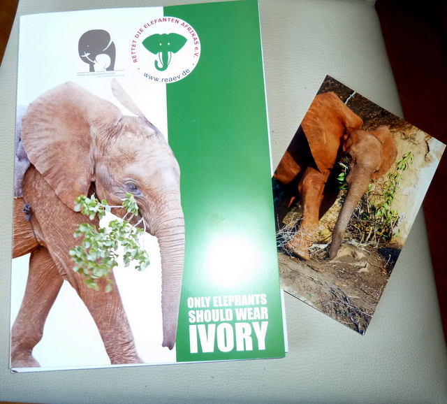 Kenya Daphne Sheldrick's Elephant Orphanage - Pagina 7 P1040112