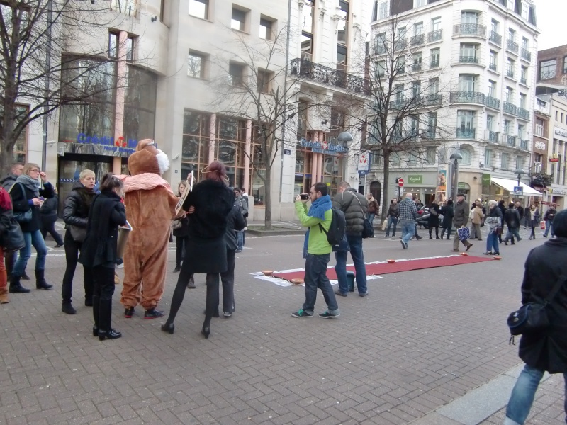 Action anti fourrure à Lille le 14/01/2012 Cimg4525