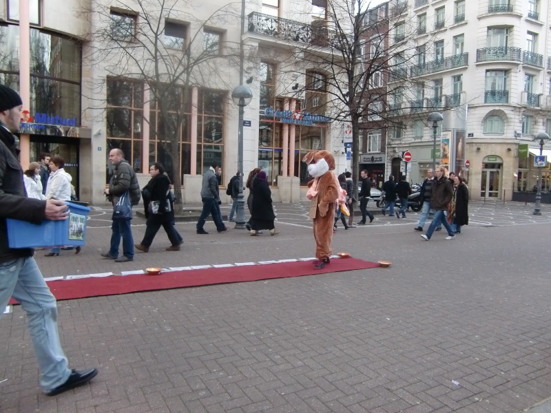 Action anti fourrure à Lille le 14/01/2012 Cimg4528