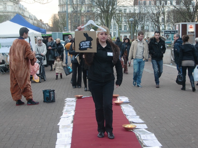 Action anti fourrure à Lille le 14/01/2012 Cimg4621