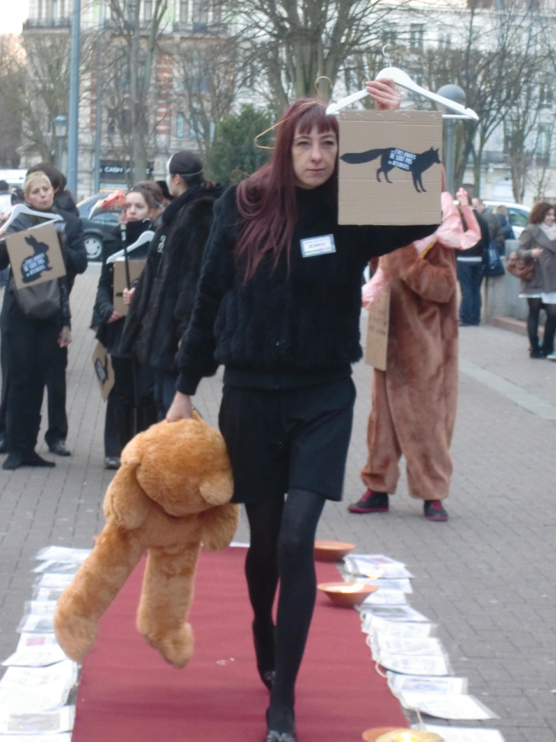 Action anti fourrure à Lille le 14/01/2012 Cimg4624
