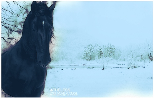 THELESS Galerie - Commande - Don  (0/2) Horse_10