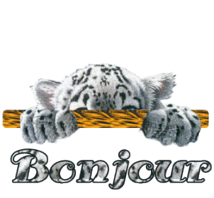 Bonne semaine à tous " Dieu nous donne des pasteurs selon Son coeur" 5841aa11
