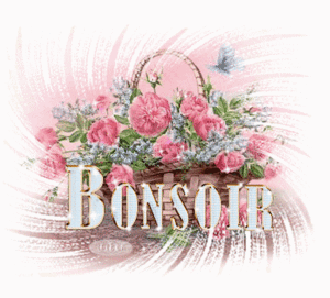 Nous souhaitons un joyeux anniversaire à mariejosiane  Bonsoi11