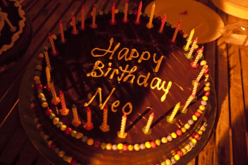 Happy Birthday Neo!! P1040510