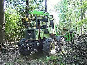 unimog mb-trac wf-trac pour utilisation forestière dans le monde - Page 18 Kaminh10