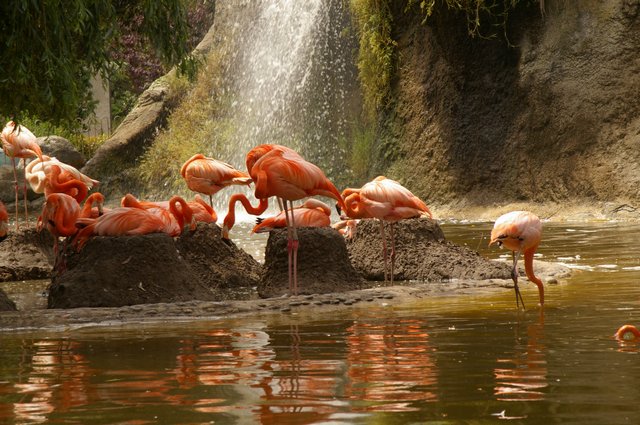 Zoo d'Amnéville Palmyr11