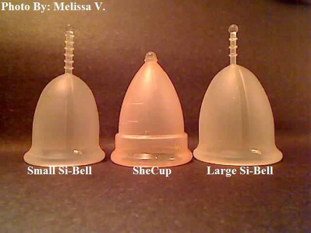 Si-Bell Cup Comparison Photos Pictur92