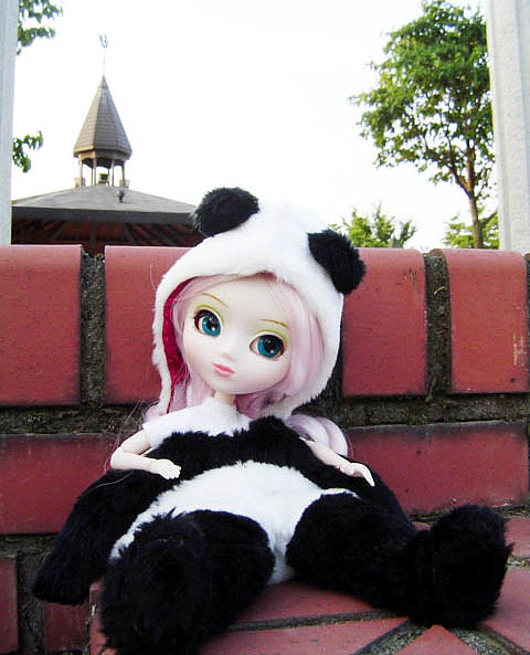 Août 2004 - Pullip Panda Pullip17