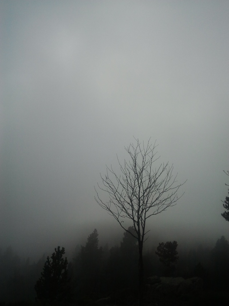 La brume envahit le Nord ! Photo112