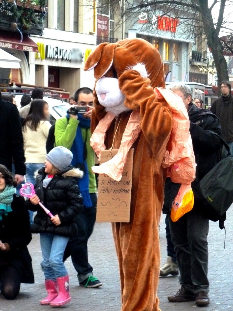 Action anti fourrure à Lille le 14/01/2012 P1070312