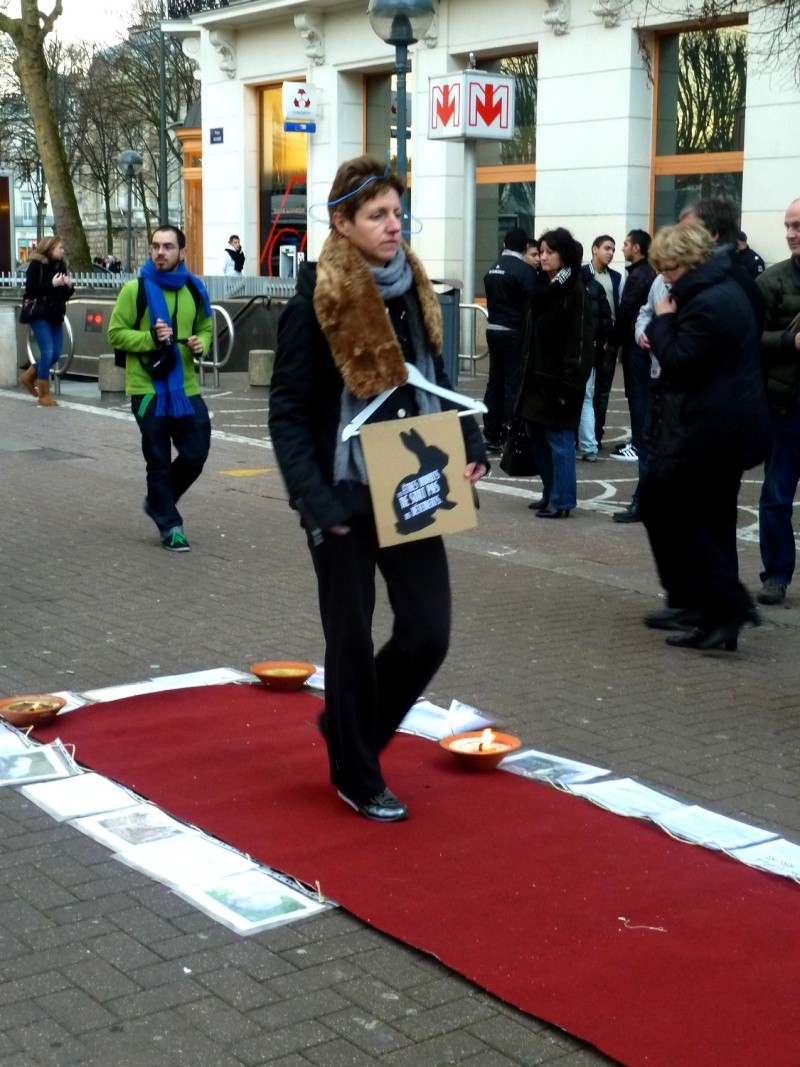 Action anti fourrure à Lille le 14/01/2012 P1070314