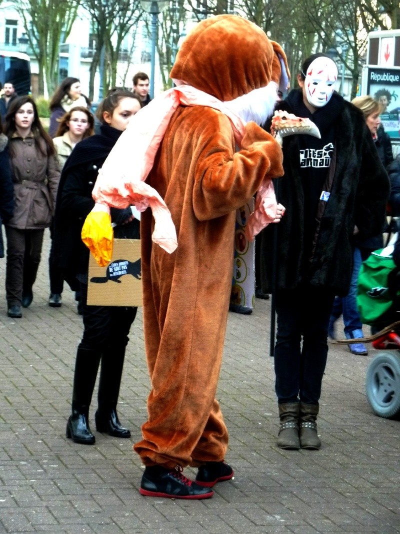 Action anti fourrure à Lille le 14/01/2012 P1070315