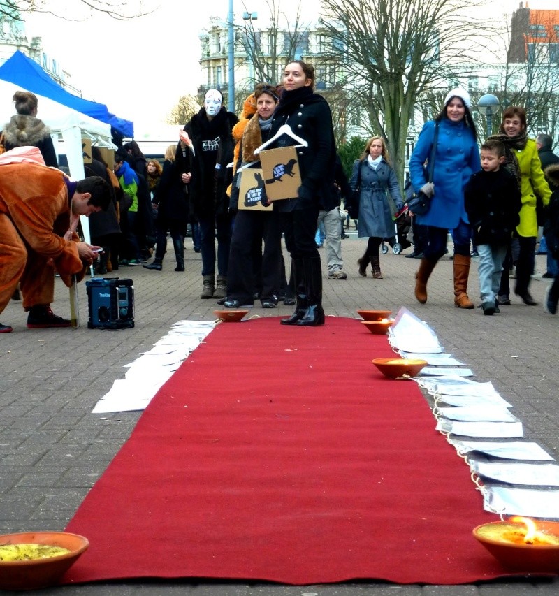 Action anti fourrure à Lille le 14/01/2012 P1070318