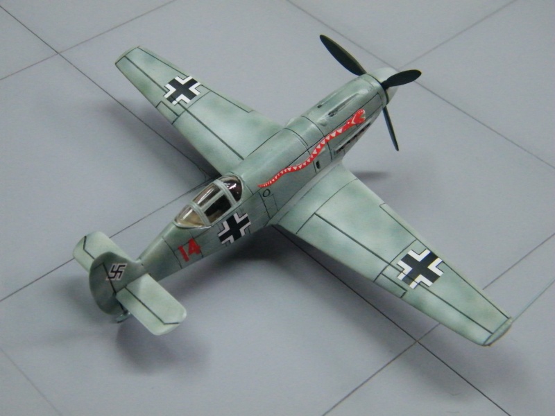 Messerschmitt Me209 V1/V4 Duo Dscf4413