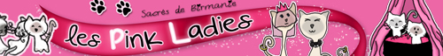 Chatterie des Pink Ladies (Quand il me prend dans ses ...♪♫) Bannia12