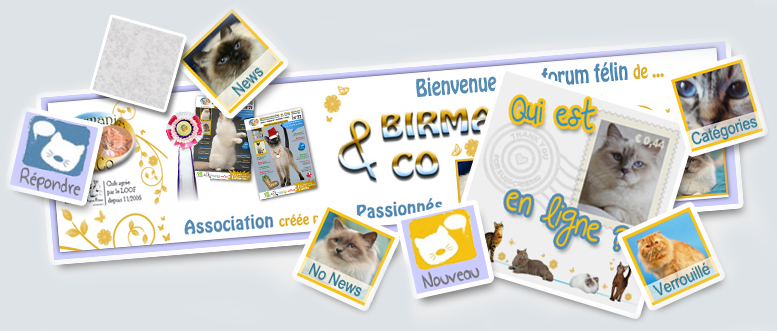 Créations Design pour Birmania & Co Pack12