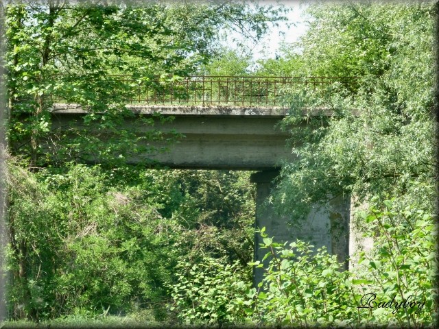 Image imposée N° 20 : Les ponts 20pont10