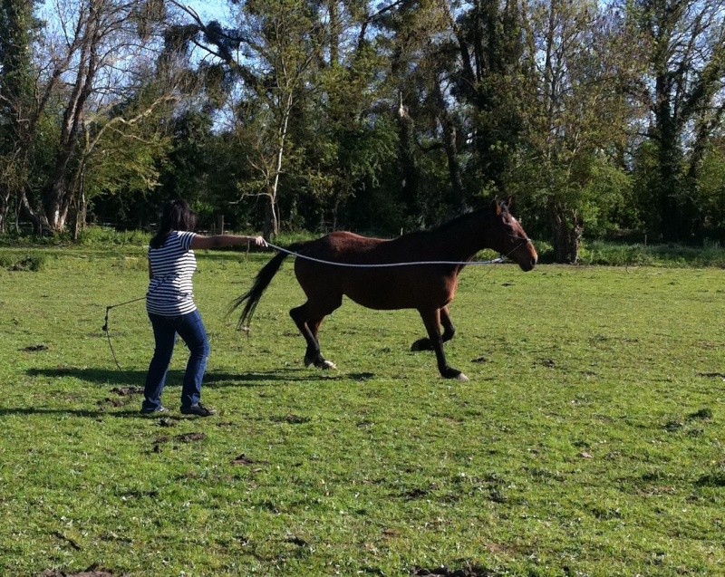 Les photos de mon manequin Img_9214