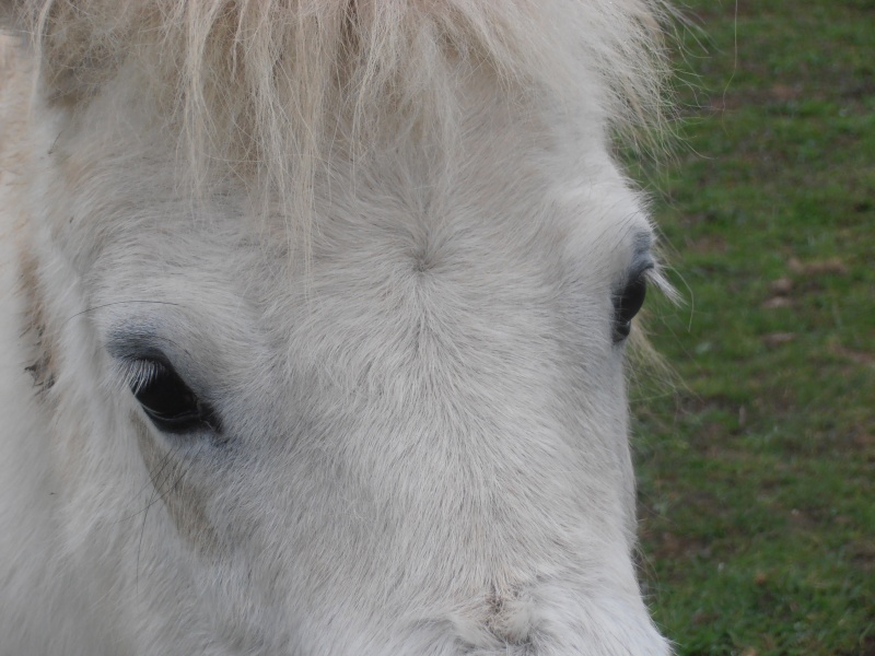 Concours n° 34 > gueules d'amour P4091331