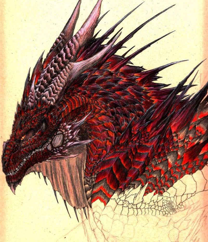 Dragons Elémentaux Meteor10