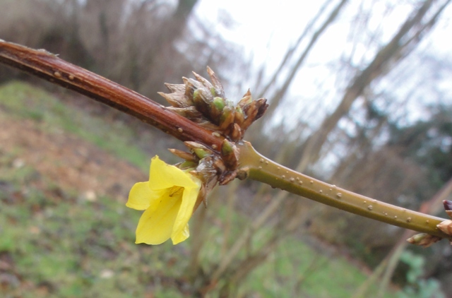 Promenade tot ce matin.... - Page 3 2012_010