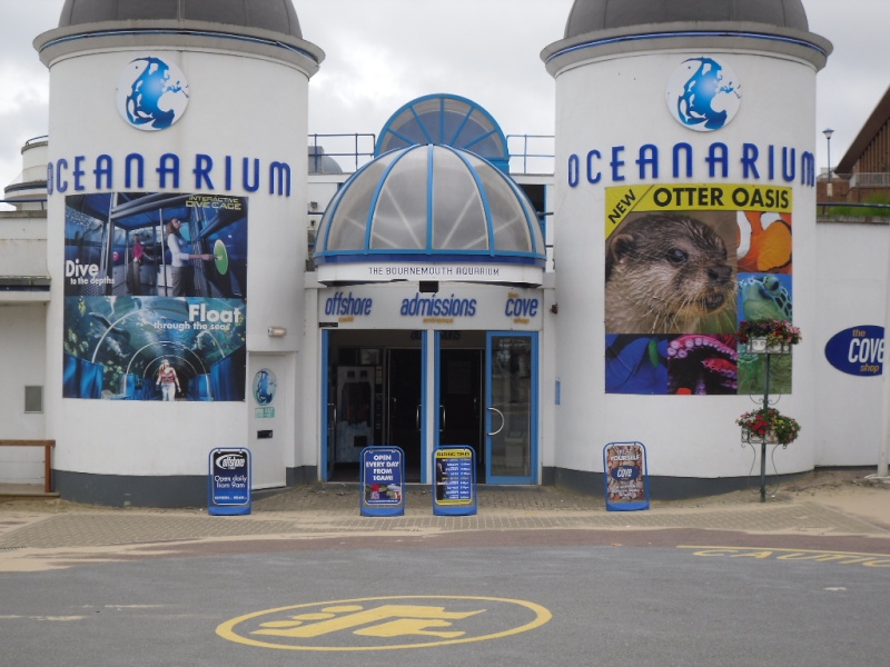 Bournemouth Oceanarium Bourne13