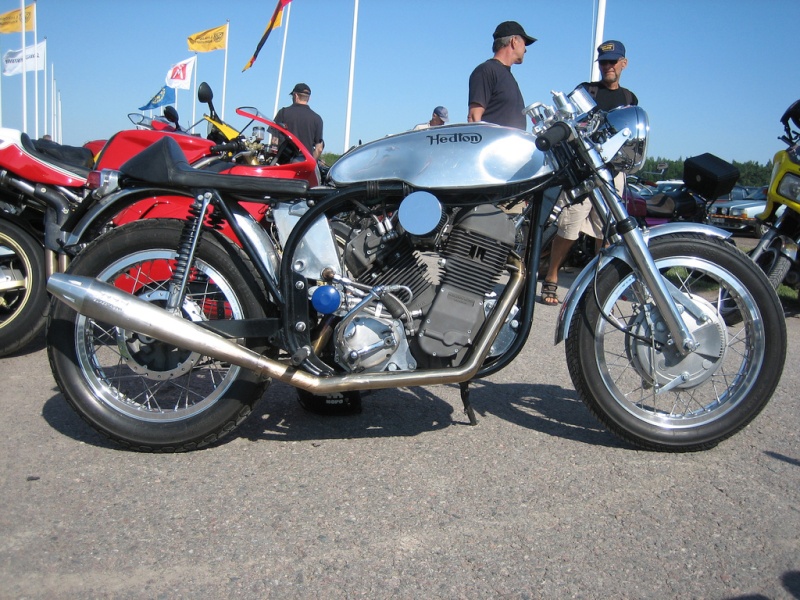 hedton - Hedton 46907710