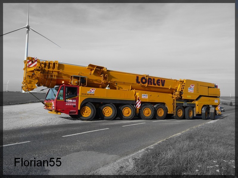 Vos plus belles photos de grues 28100910