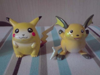 Ma collection pokemon P2510119