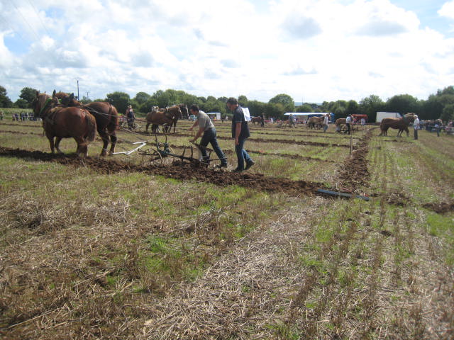 CONCOURS LABOUR PLOUGASTEL Img_0126