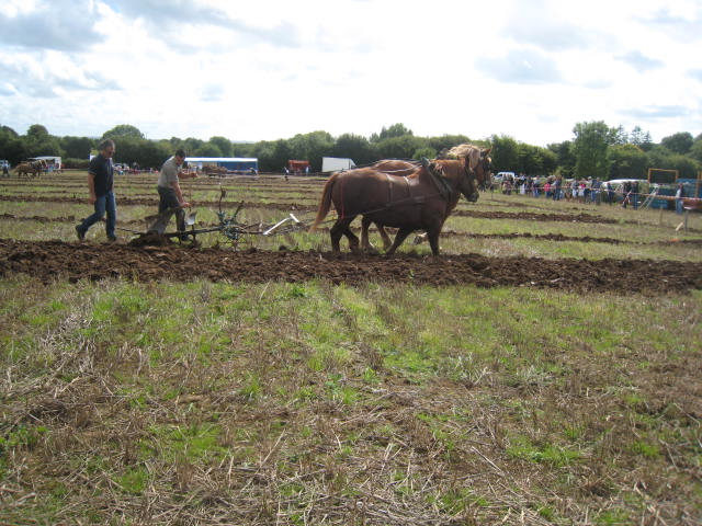 CONCOURS LABOUR PLOUGASTEL Img_0127