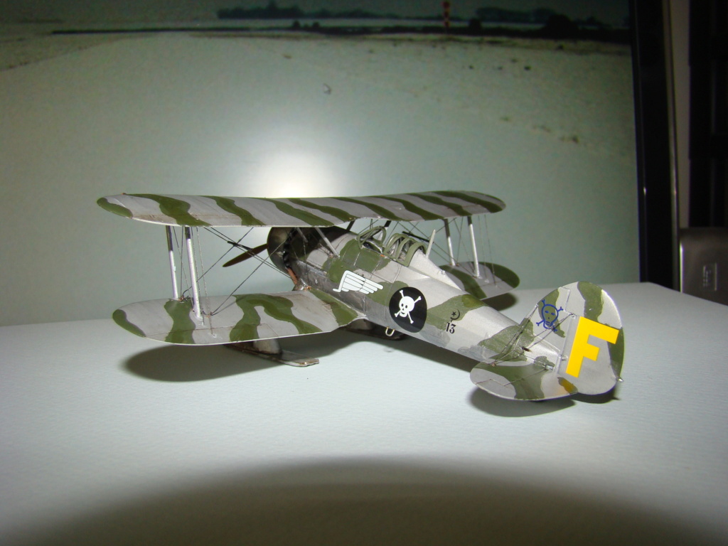 [Airfix] Gloster Gladiator New tooling (FINI) - Page 2 Dsc05112