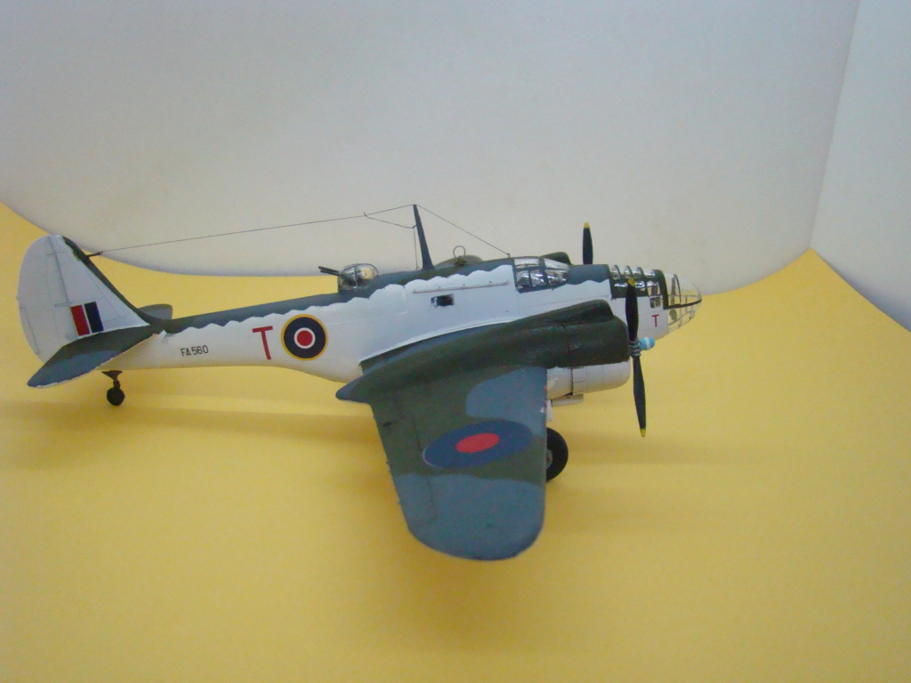 [Special Hobby]] Martin "Baltimore"  (FINI) - Page 2 Dsc05650