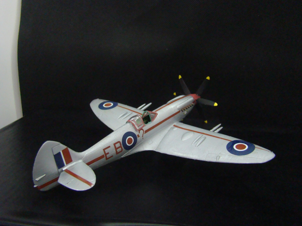 [Special Hobby] Supermarine Spitfire Mk 21 [FINI] Dsc05972