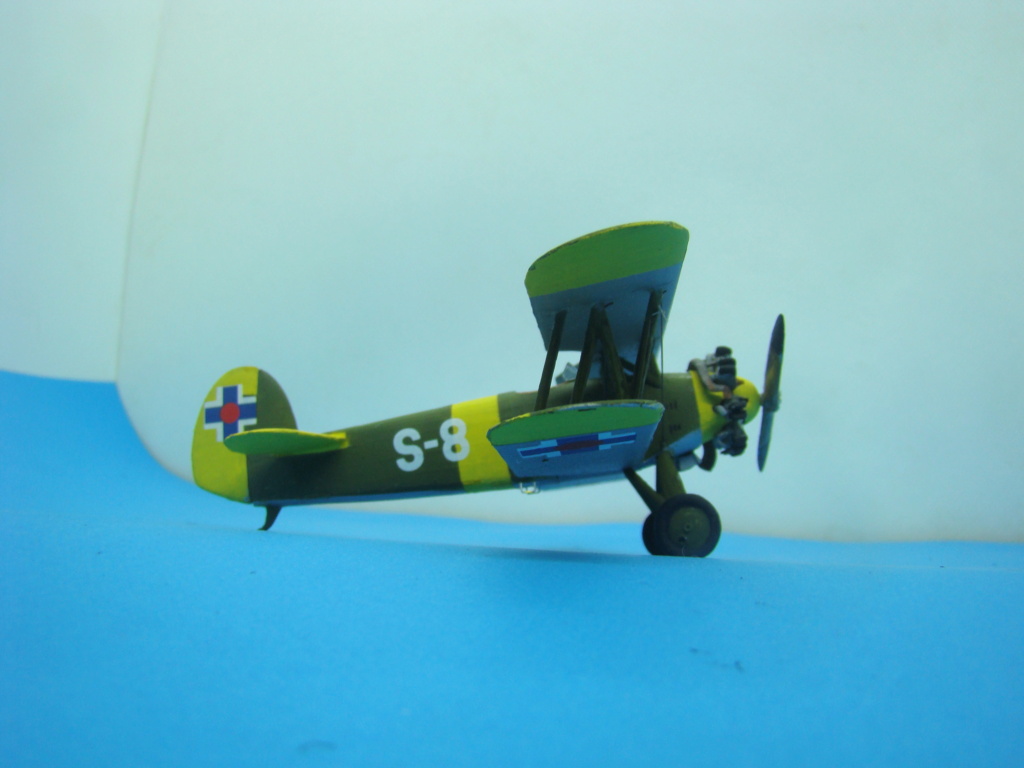 [RS Models] Avia Bs.122 [FINI] Dsc07479