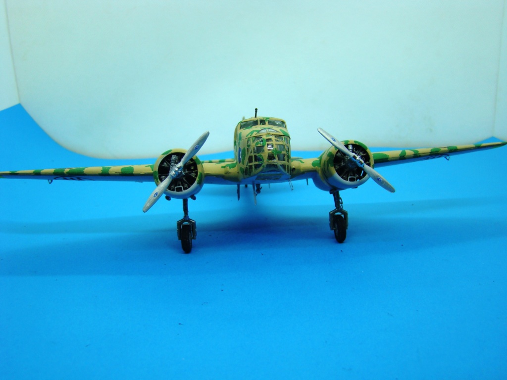 [Special Hobby] Caproni Ca.311M [FINI] Dsc07968