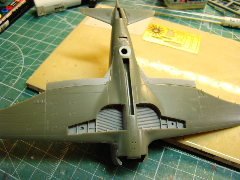 [Dora Wings]  Republic P-43 Lancer [FINI] Dsc08414