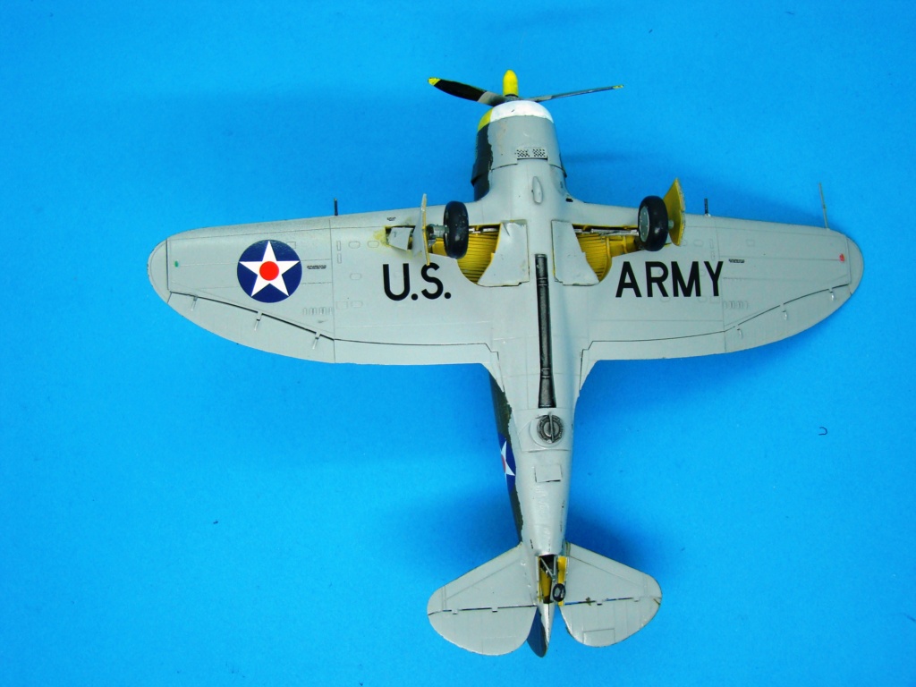 [Dora Wings]  Republic P-43 Lancer [FINI] Dsc08429