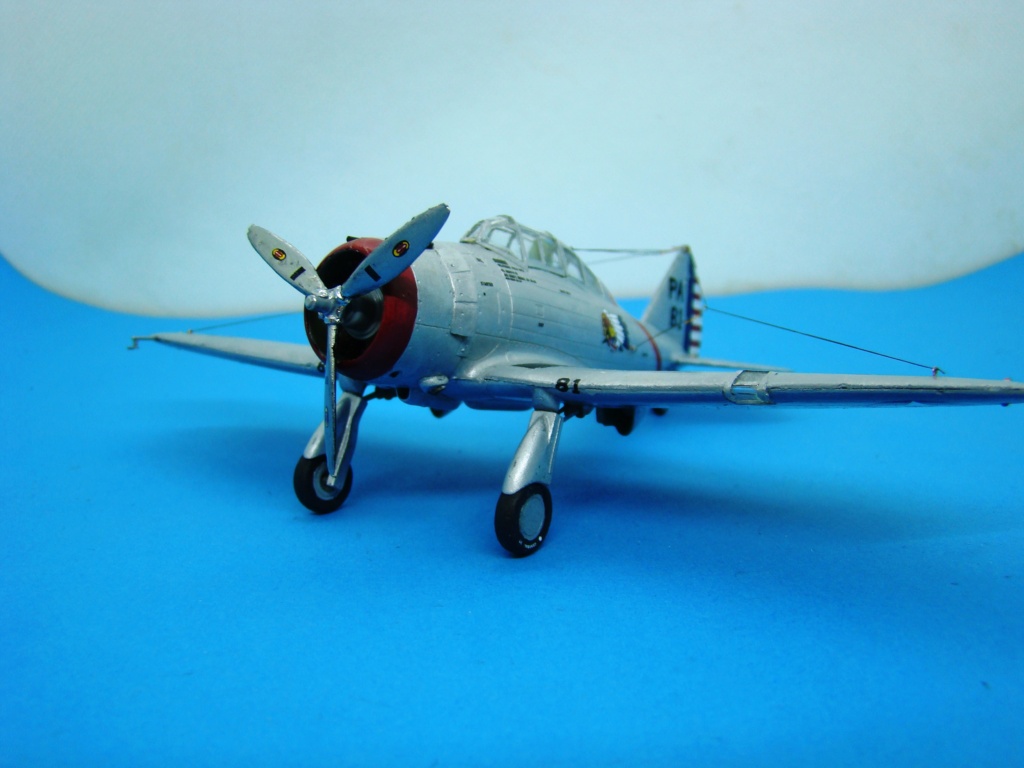 [Special Hobby] P-35 [FINI] Dsc08497