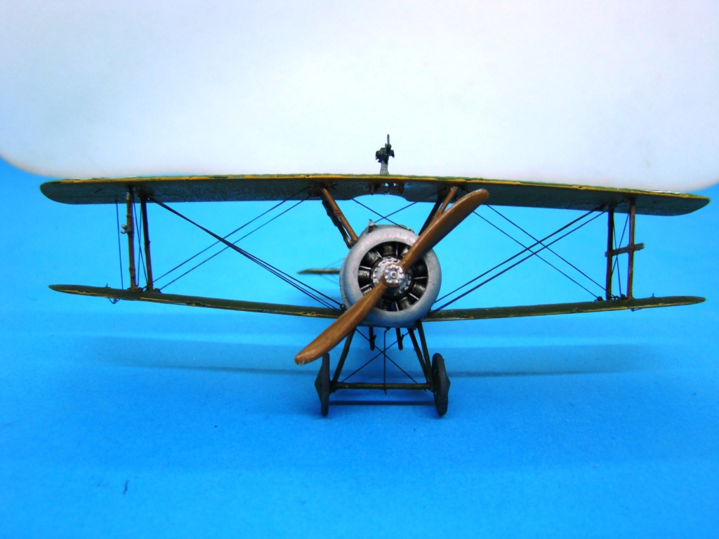 [Roden] Sopwith Camel TF-1 [FINI] Dsc08849