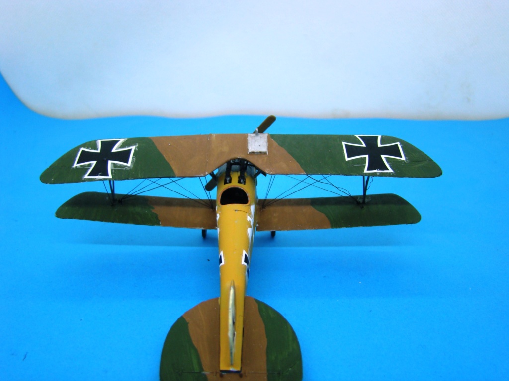 [Roden] Albatros D.III [FINI] Dsc08913