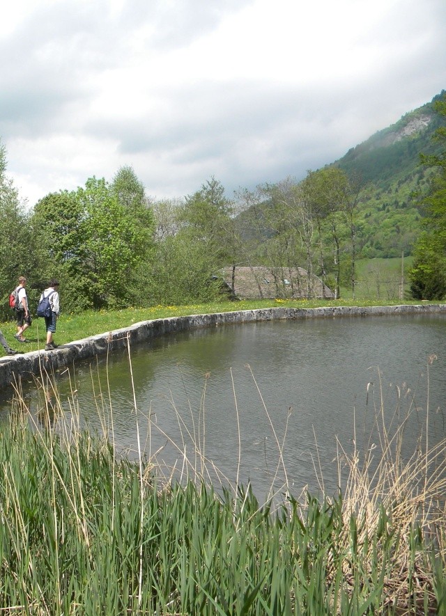 Vallon du Tamié (13/05/12)  Dscn2011