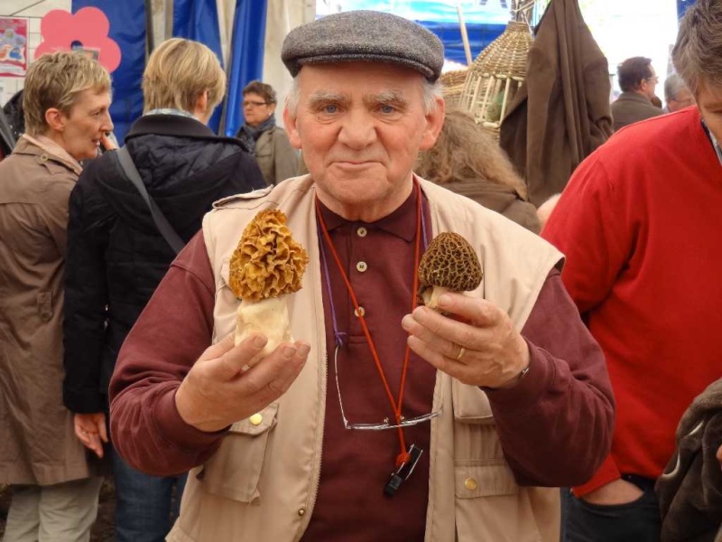 Champignons de printemps  - 1ere Expo à Philippeville Carref12