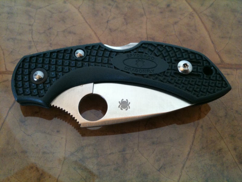 Spyderco Dragonfly ZDP 189 Img_0911