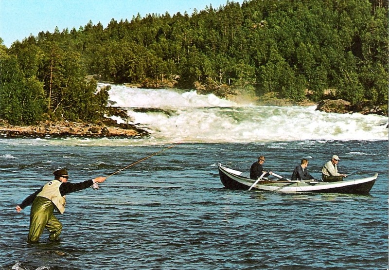 Impressionen aus Norwegen Lachsf10