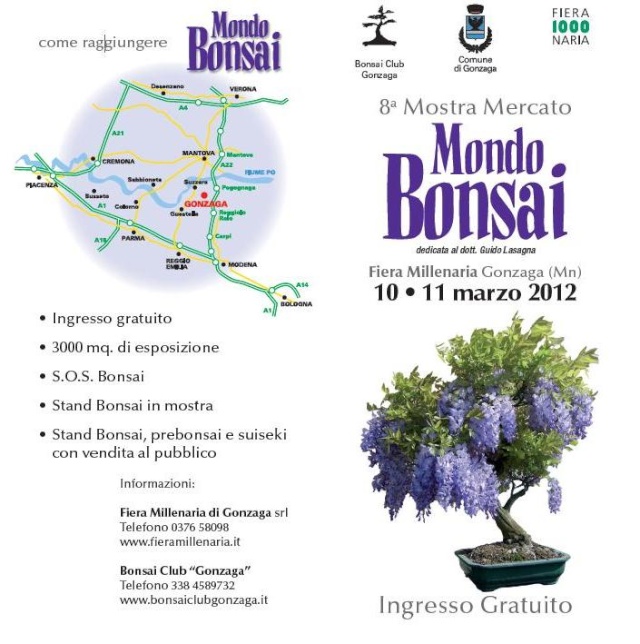 mondo bonsai 2012 Copert10