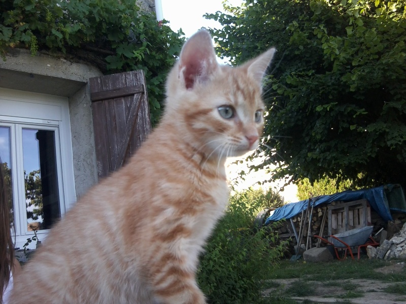 Maman et ses bbs sauvs - Page 3 Photo010