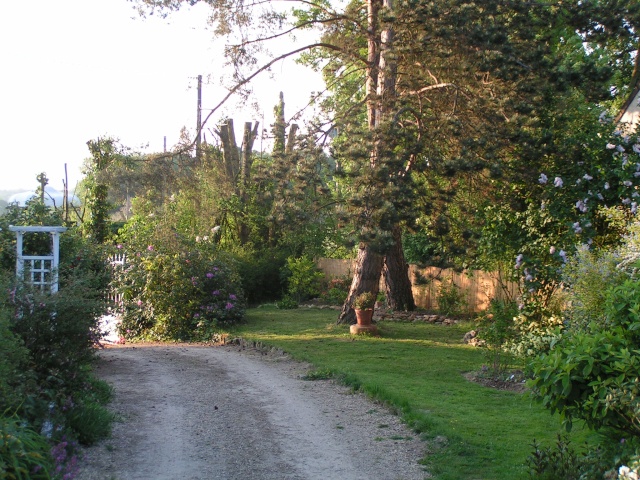 Le jardin au fil des jours Allae_11